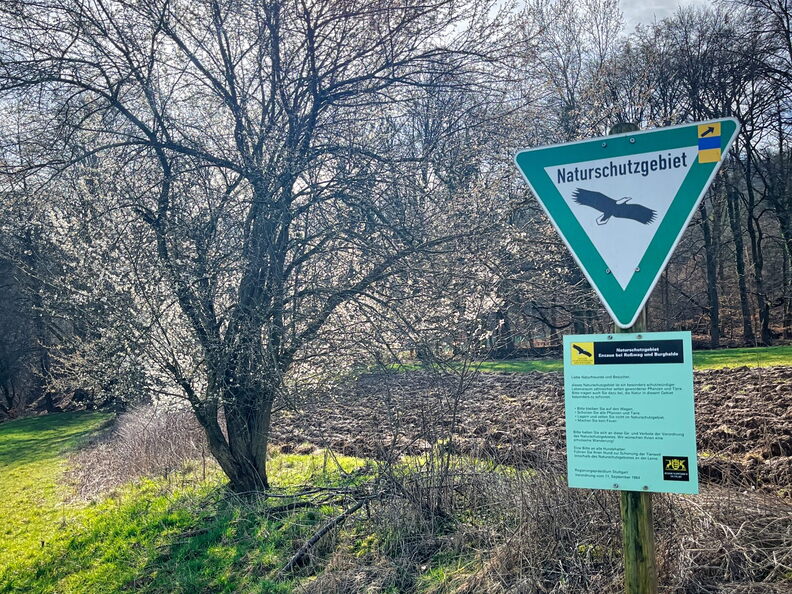 23-03-17 10-39-44 4878